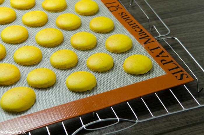 Sonnige Aprikosen-Macarons.