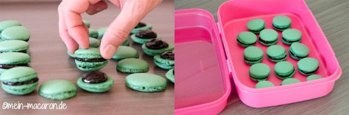 Macarons in der Box reifen lassen.
