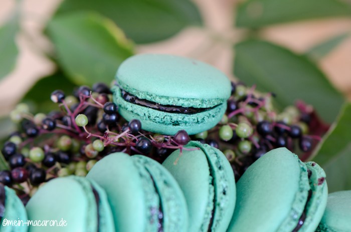 Macarons mit Holunder-Konfituere.