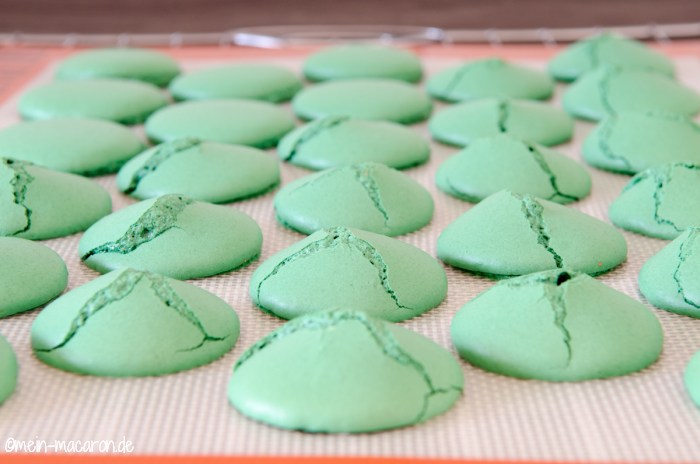 Macarons mit Holunder-Konfituere.