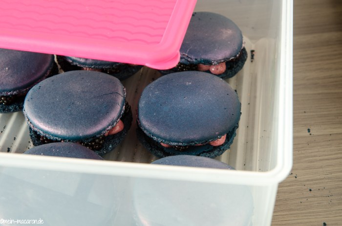 Macarons zum "reifen" in einer luftdichten Box im Kühlschrank aufbewahren.