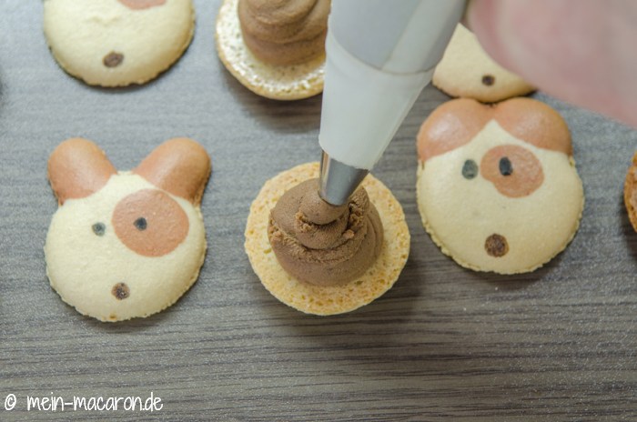 Bello Pritie Macarons