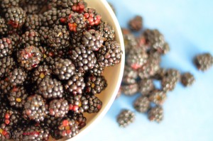 Brombeermarmelade, frisch gesammelte Brombeeren.