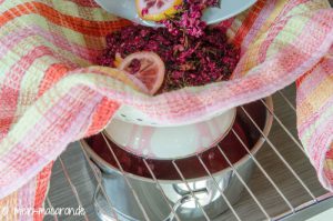 Rezept und Anleitung für Fliederblütensirup. Sirup aus Fliederblüten.