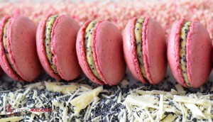 Himbeer-Macarons