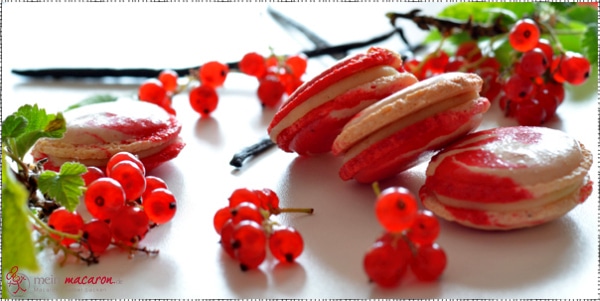 Johannisbeer-Vanille-Macarons