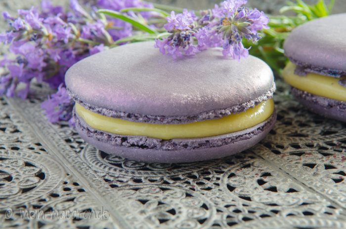 Rezept Lavendel Honig Vanille Macarons