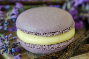 Macaron mit Lavendel-Vanillemousse.