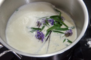 Sahne, Lavendel und Vanille aufkochen. Lavendel-Vanillemousse.