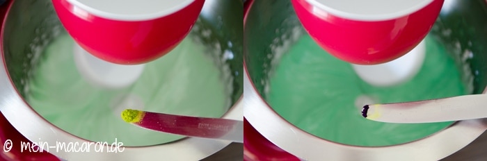 Macaron Eiscreme Sandwiches