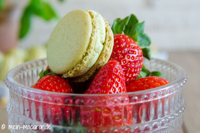 Rezept, Macarons aus Pinienkernen.