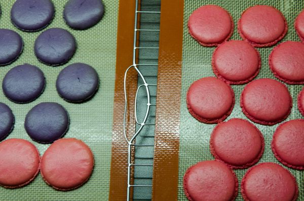 Macarons aus französischer Meringue, mit Ober- Unterhitze gebacken.