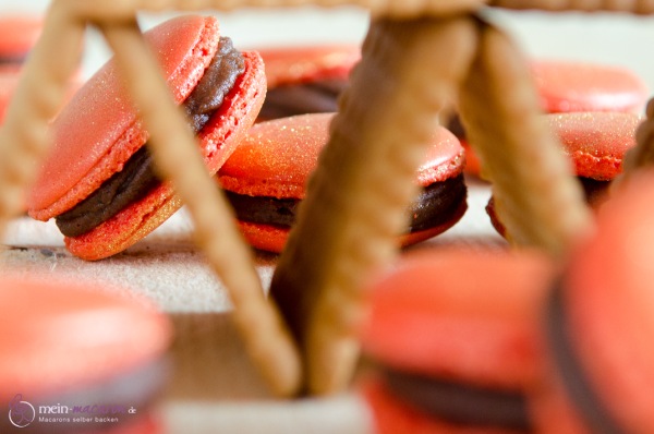 Macarons und eine Vollmilch-Ganache mit Butterkeks.