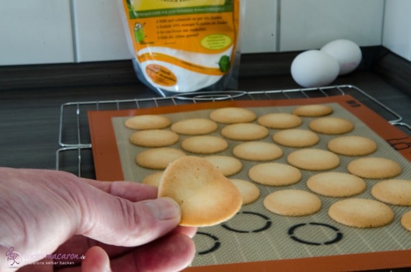 Macarons mit Xylit, ein Versuch...
