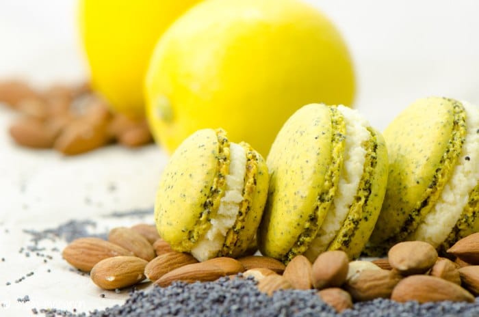 Mohn-Macarons, Rezept und Anleitung für ein Grundrezept.