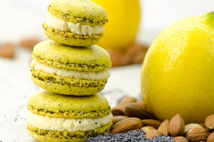Mohn-Macarons, Rezept und Anleitung für ein Grundrezept.