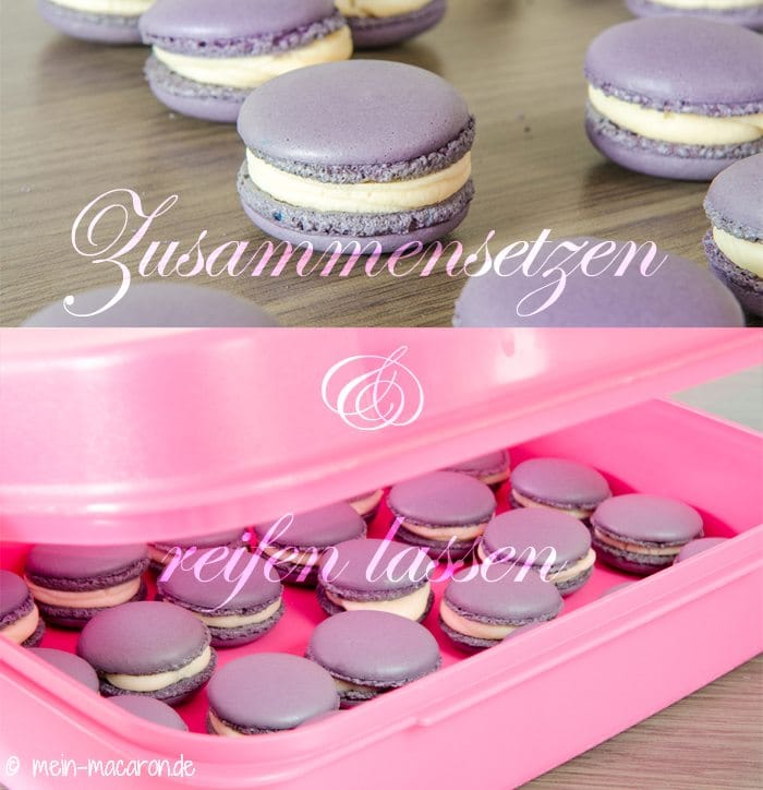 Rezept Macarons mit Fliederblueten-Ganache
