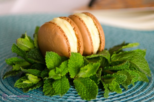 Schoko-Macarons mit frischer Minze und weißer Kuvertüre.