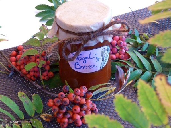 Vogelbeeren-Konfitüre