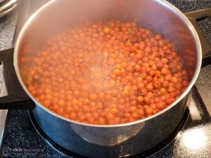Vogelbeeren-Konfituere