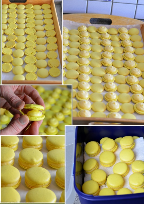 Macarons füllen und lagern.